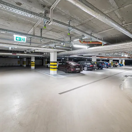 Sky Horizon Premium - Billberry