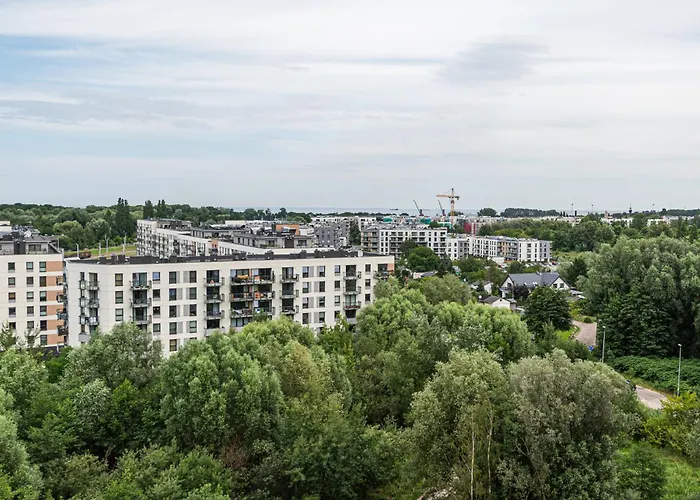 Sky Horizon Premium - Billberry *