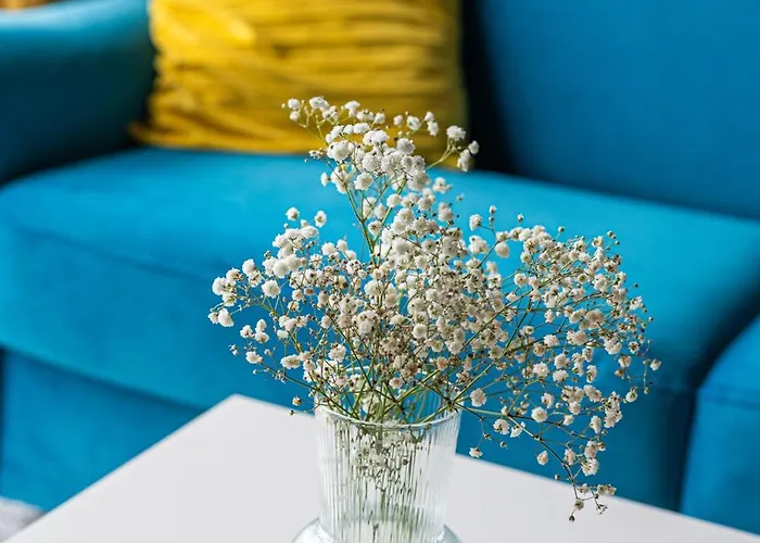 Sky Horizon Premium - Billberry Danzig