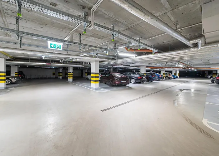 Sky Horizon Premium - Billberry